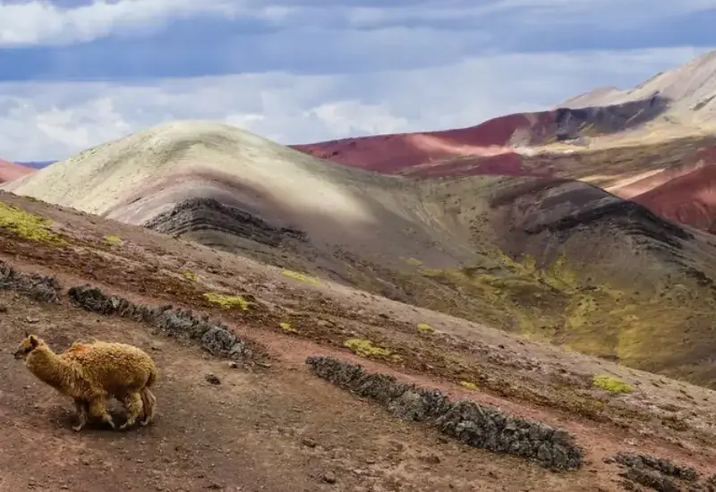 Cusco to Rainbow Mountain Taxi